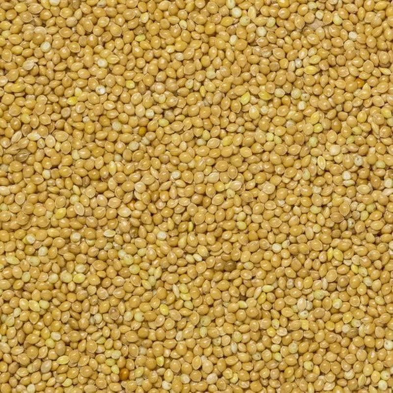 Zemité celozrnné proso - bez GMO - přírodní - veganské - bez mléka - bez přidaného cukru - 1 kg