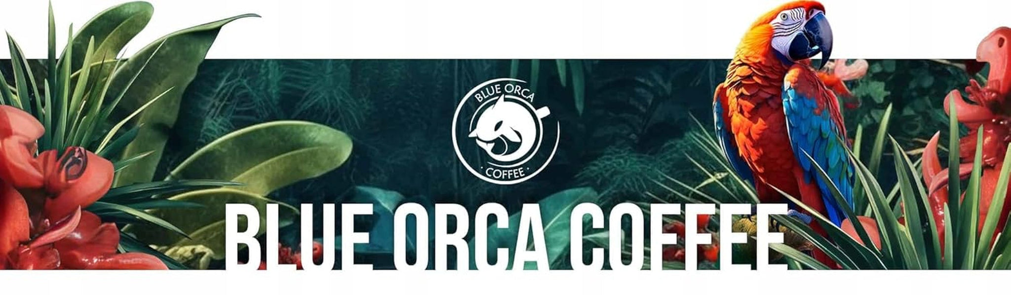 Mletá káva DE BOA 1KG | 100% Arabica | s nádechem čokolády a ořechů | středně pražená kávová zrna, nízká kyselost | ideální pro stroje na espresso | Pražírna kávy Blue Orca
