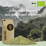BIO Yerba Mate Tea 1 kg ● Originální ● Zralé ● Nepražené ● Sušené na vzduchu ● Nekuřácké ● Bez plastů ● Fair Trade ● Čaje maté z listů maté, kousků maté a prášku z listů maté ● DE-ÖKO-006