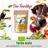ORIGEENS BIO YERBA MATE s pomeranči 200 G - Ovocný čaj I Bio čaj Yerba Maté nepražený, bez stonků a prachu I Energizující a detoxikační nápoj