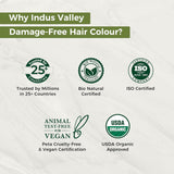 Gelová barva na vlasy Indus Valley Natural Damage Free | Bez amoniaku, bez veganů a bez krutosti | Až 100% krytí šedin, dlouhotrvající výsledky | Světlý kaštan 5,0 (20 gramů + 200 ml) Barva na vlasy Naty Shop
