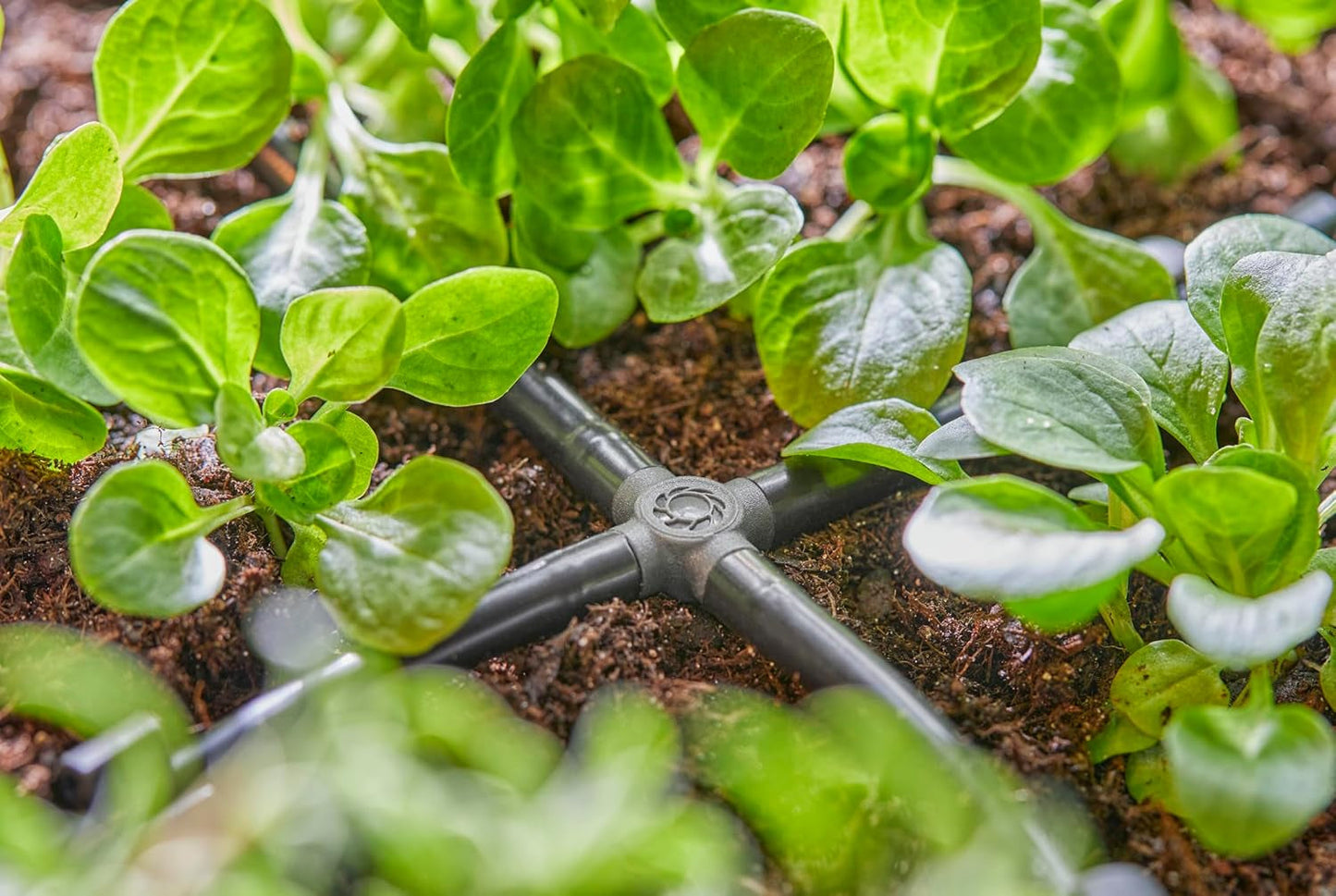 Gardena Micro-Drip-System - Křížové připojení 4,6 mm (3/16 palce): Příslušenství pro odbočné rozvody a odkapávací potrubí, instalace bez zauzlování s technologií Easy & Flexible (13214-20)