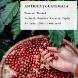 Pražená po objednání ~ nejčerstvější speciální kávová zrna | Pražírna 80 CUP | Guatemala Antigua, Jediný původ (1kg) Spezialitäten Kaffeebohnen, Frisch Geröstet