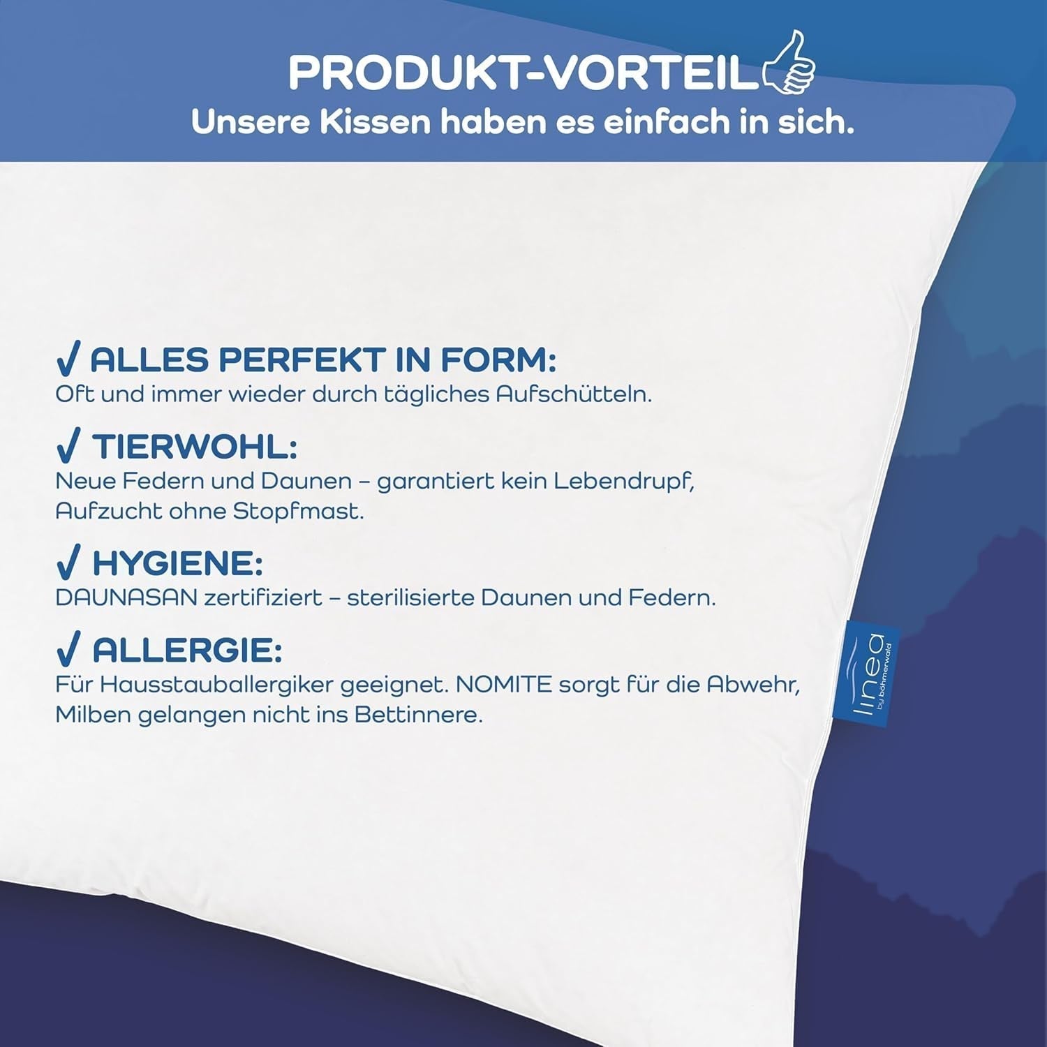 LINEA by Böhmerwald - Cosy - Vysoce kvalitní polštář Balance, 80X80, 70% peří třídy 1, 30% nové prachové peří, vhodné pro alergiky, lze prát do 60°C, vyrobeno v Německu Standardní polštáře Naty Shop