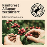 od Amazon Starke Pads, geeignet für Senseo-Maschinen, 36 Stück (1 Packung mit 36 ​​​​Stück) – Rainforest Alliance-zertifiziert