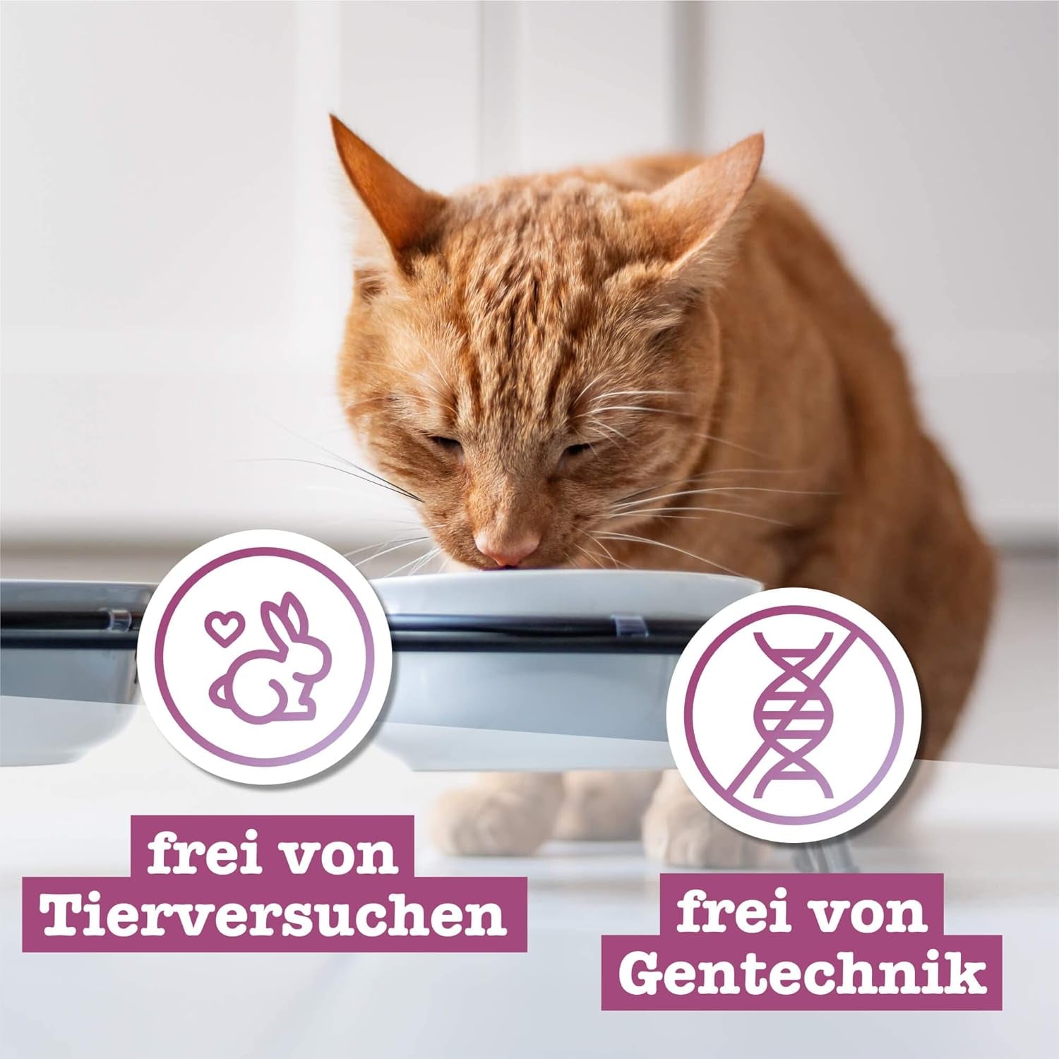 Catz Finefood Classic Collection Mixed Pack Mokré krmivo pro kočky - Gurmánské mokré krmivo pro vaši kočku, bez obilovin a cukru, s vysokým obsahem masa, 24 sáčků x 85 g