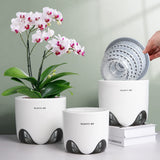 Květináč na orchidej s drenážními otvory pro přesazování, výborná cirkulace vzduchu, 2 kusy, dvouvrstvý plast, keramický květináč na orchidej, průhledný květináč na orchidej, dekorativní