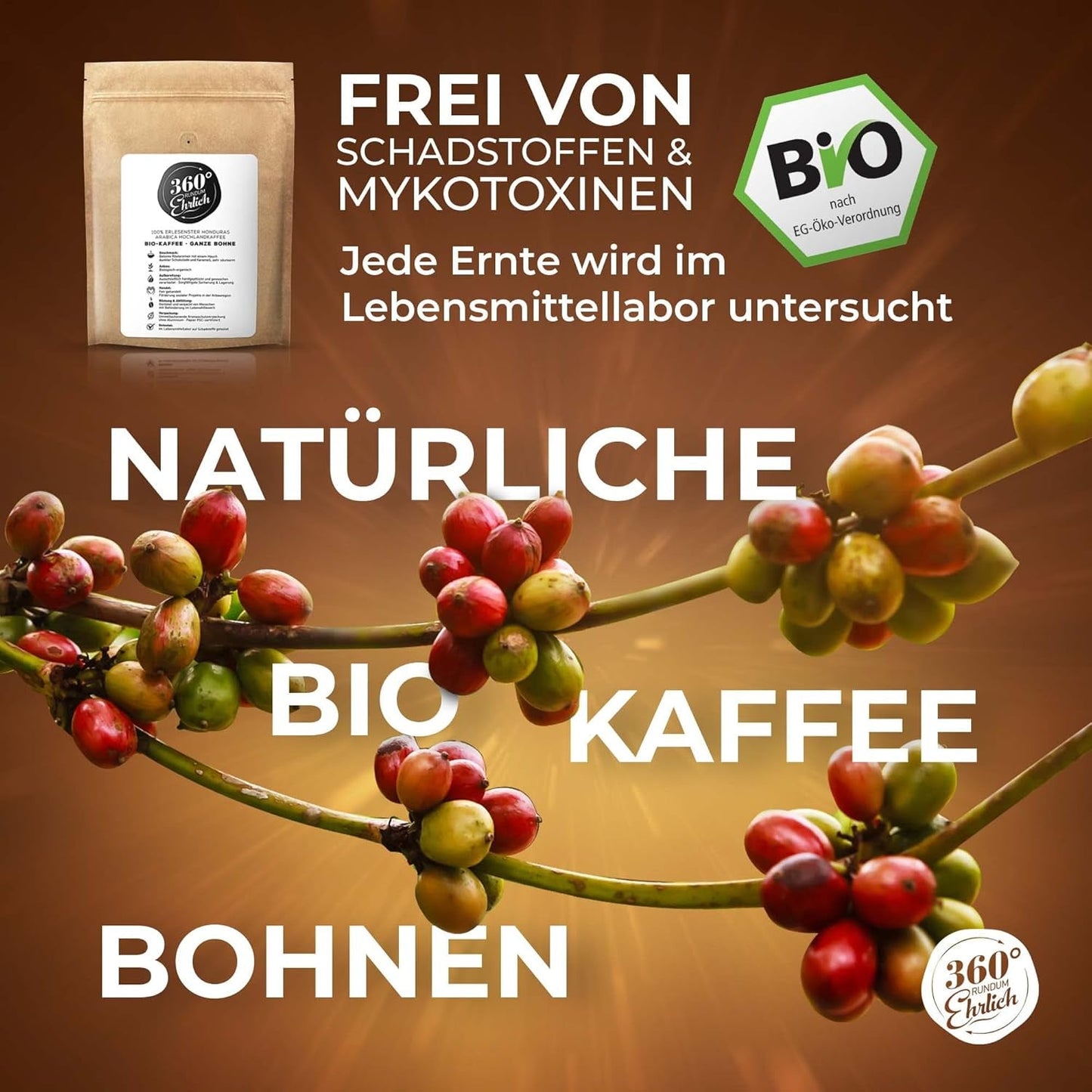 Premium Bio Kaffeebohnen 1000g, 100% Honduras Hochland Arabica Kaffeebohnen Bio - Köstlich, jemná, säurearm - Bio Kaffee ganze Bohnen - Ideal als Kaffeebohnen Vollaautomat - 360° Rundum Ehrlich