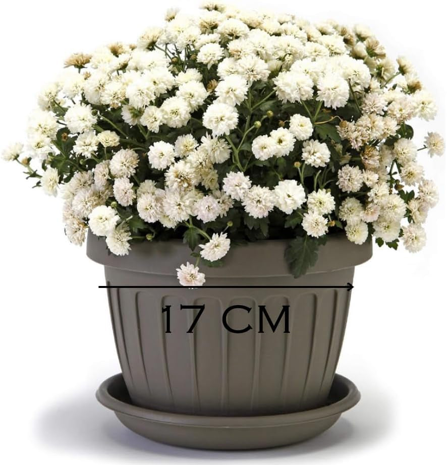 Malý hrnec s talířem - 17 cm hrnec s talířem | Praktický a lehký design | Ideální pro rostliny, řízky nebo rané výhonky 17 cm