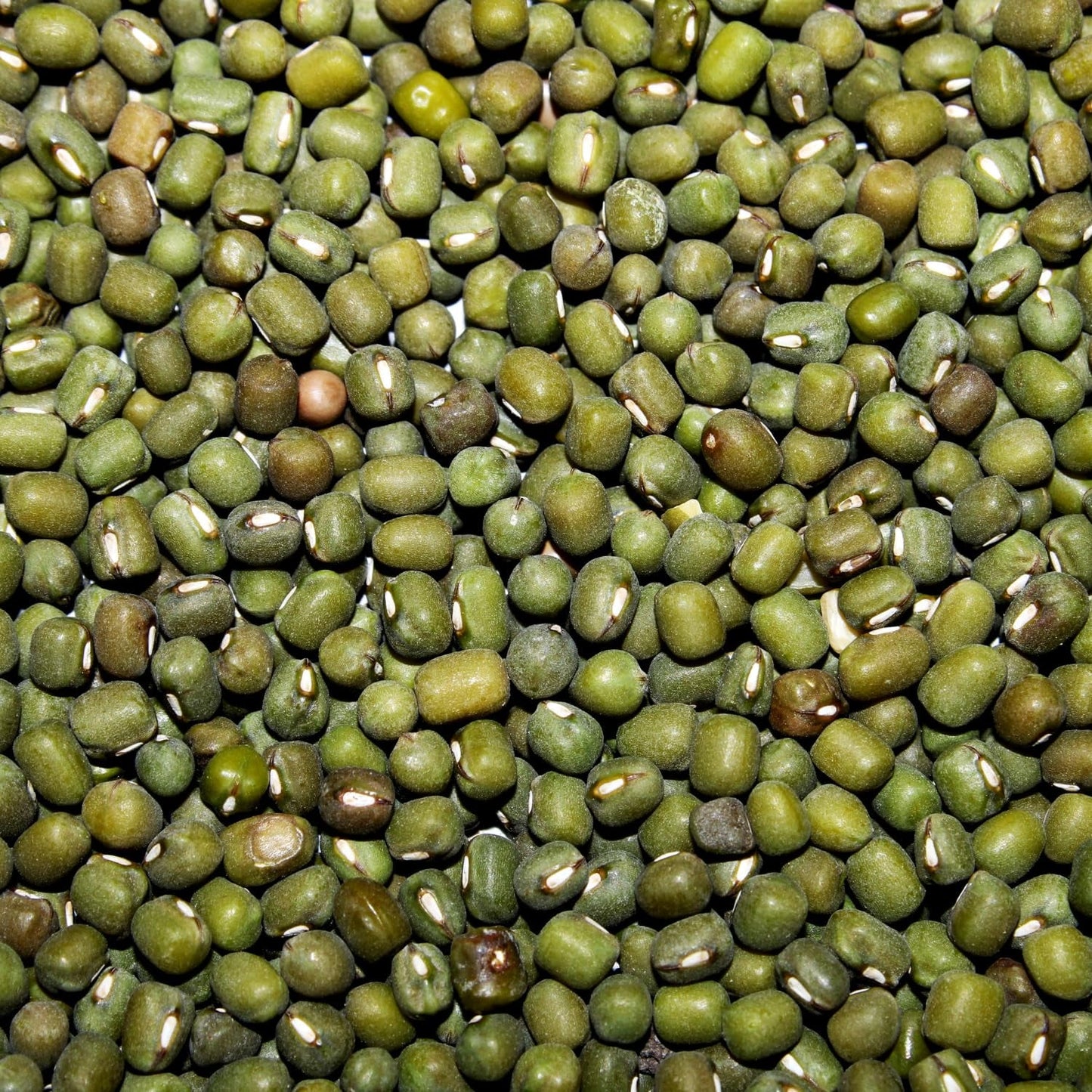 AFROASE - Mung zelené fazolky - 1 x 1 kg