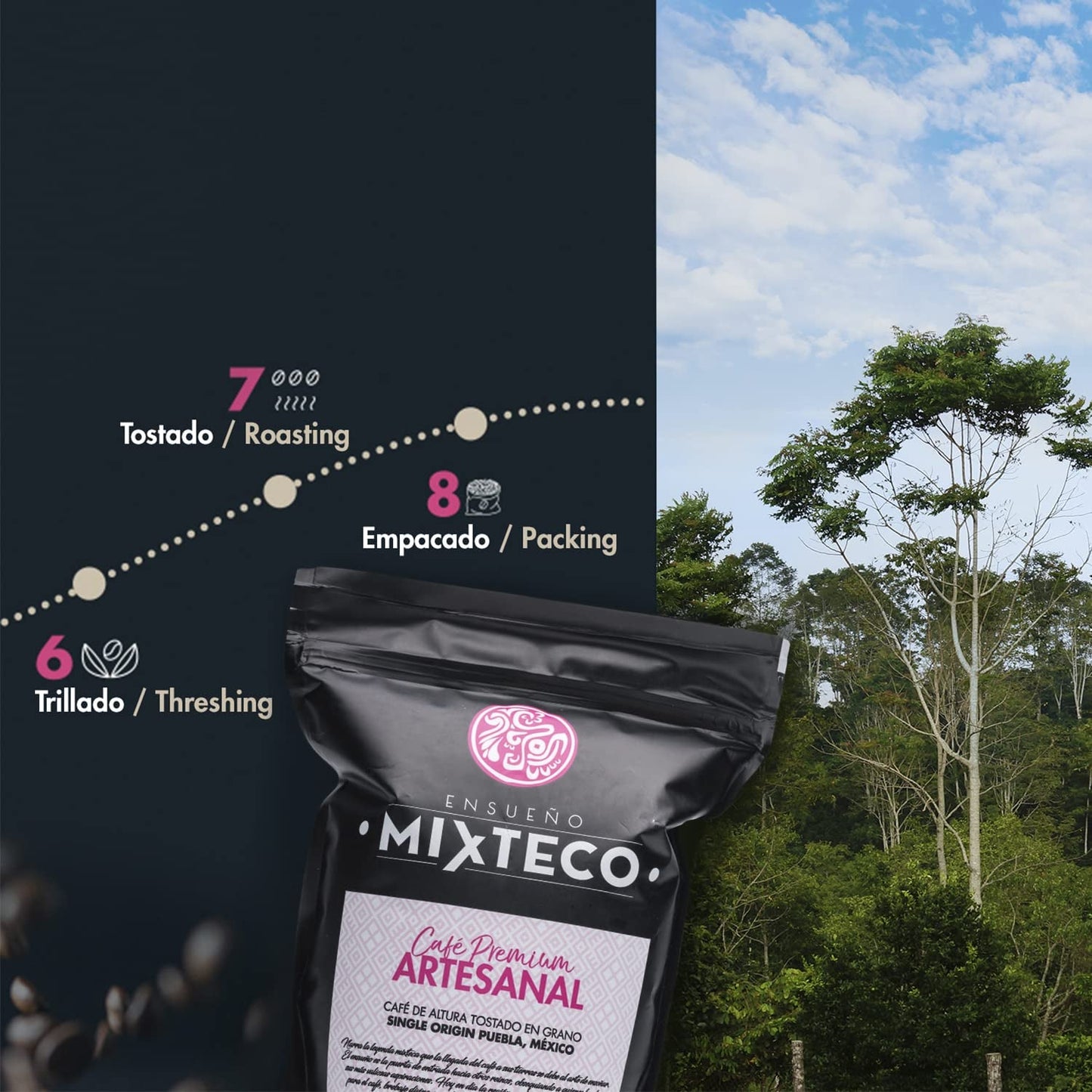 Pražená kávová zrna Arabica | 500 g s nádechem kakaa a mandlí | Z tradiční pražírny kávy | Jemná chuť