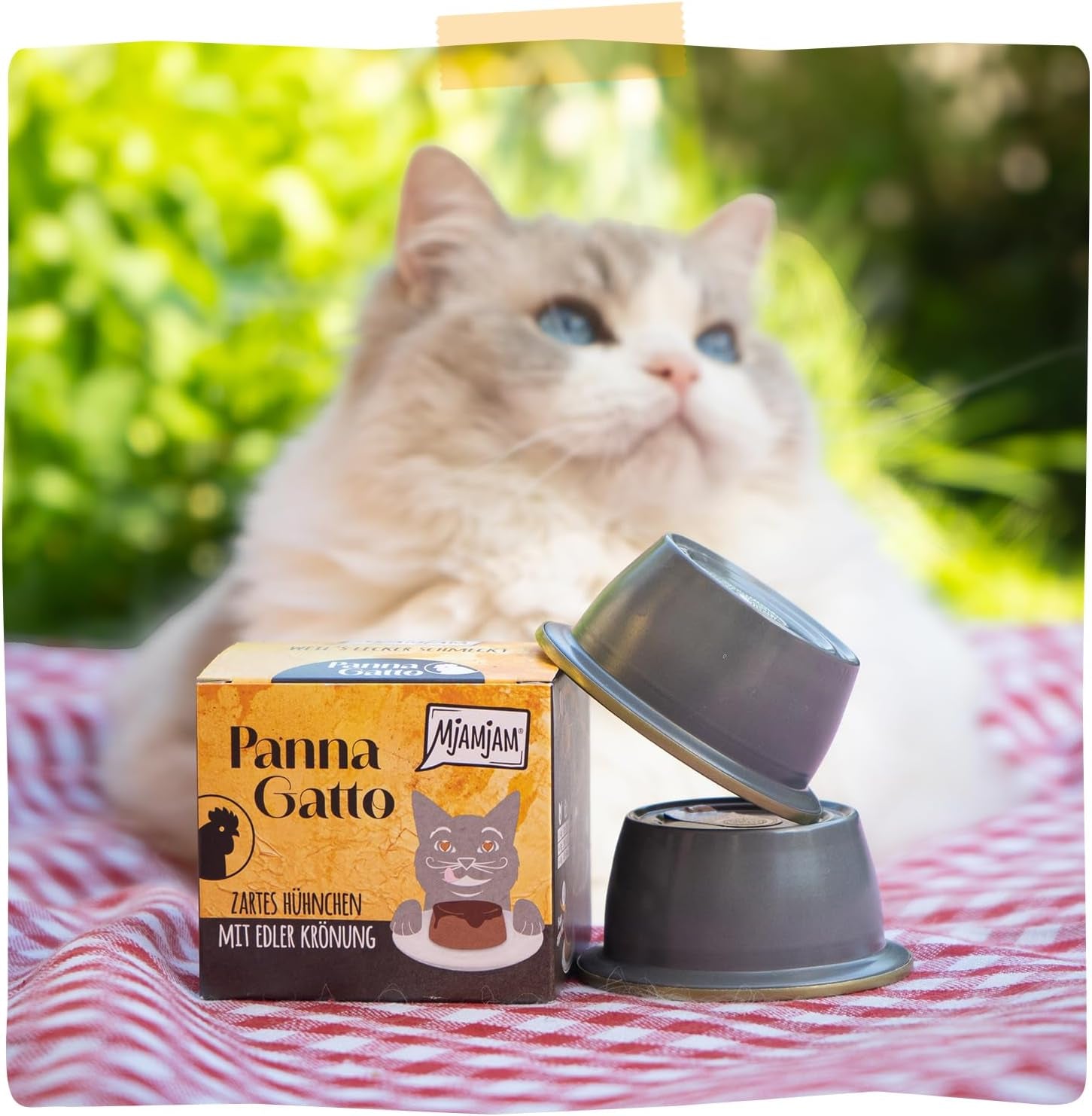 MjAMjAM - Prémiové mokré krmivo pro kočky - Panna Gatto - jemné kuře s ušlechtilou polevou, balení 12 ks (2x80g), bez obilovin