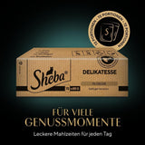 SHEBA Mokré krmivo pro kočky - 72 sáčků x 85 g - Drůbež v želé - Mokré krmivo pro kočky - 1 velké balení