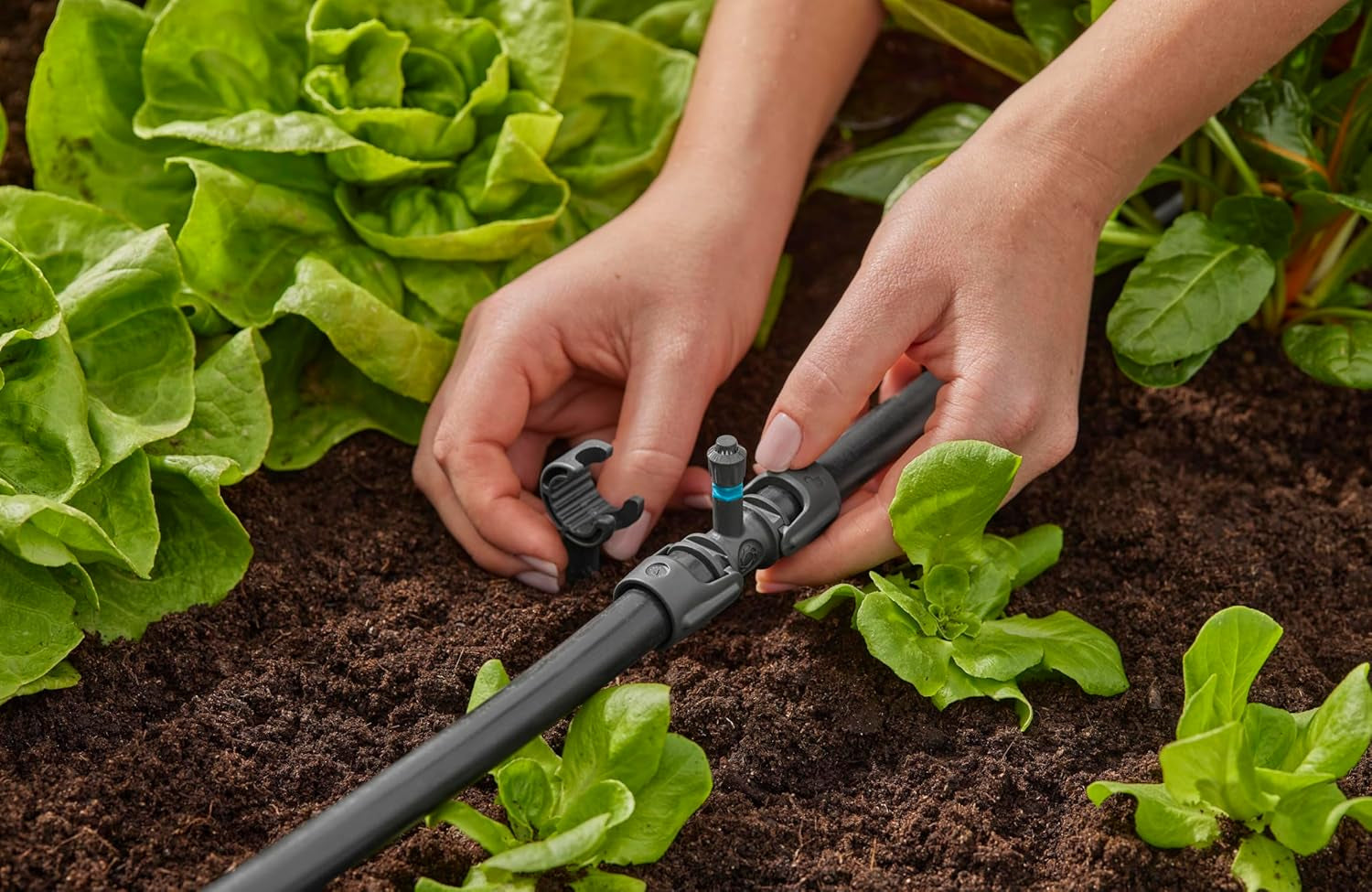 Gardena Micro-Drip-System T-kus pro rozprašovací trysky: Spojení mezi 13 mm trubicí a rozprašovací tryskou, automatické zavlažování rostlin, rychlé a snadné připojení, opakovaně použitelné (13206-20)