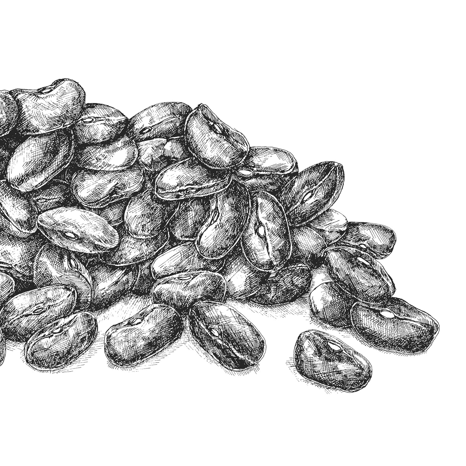 Pohanka BioGourmet Demeter – 500g sáček | Bezlepkové, s vysokým obsahem vlákniny a regionální | Z německého ekologického zemědělství (Bádensko-Württembersko/Bavorsko) | Ideální do müsli, salátů a příloh