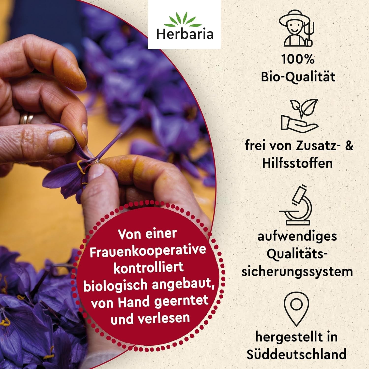 Herbaria Safran-Fäden bio 0,5g im Glas – Bio Saffron-Fäden aus dem Bericht Safran-Ort Taliouine v Maroku – Safranfäden v Premium Bio-Qualität – Saffron Premium - Safran première kategorie