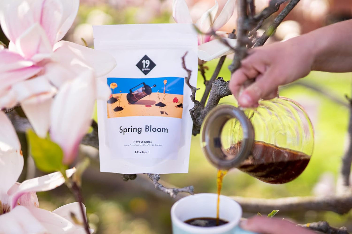 Spring Bloom Filter | 250 g celých zrn | spravedlivé a udržitelné | čerstvě smažené | kávová zrna 100% Arabica | speciální káva | 19 gramů Cafe Roastery…