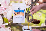 Spring Bloom Filter | 250 g celých zrn | spravedlivé a udržitelné | čerstvě smažené | kávová zrna 100% Arabica | speciální káva | 19 gramů Cafe Roastery…