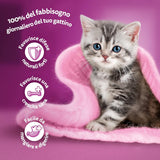 Whiskas Junior Classic mokré krmivo pro kočky, 13 x 4 x 85 g