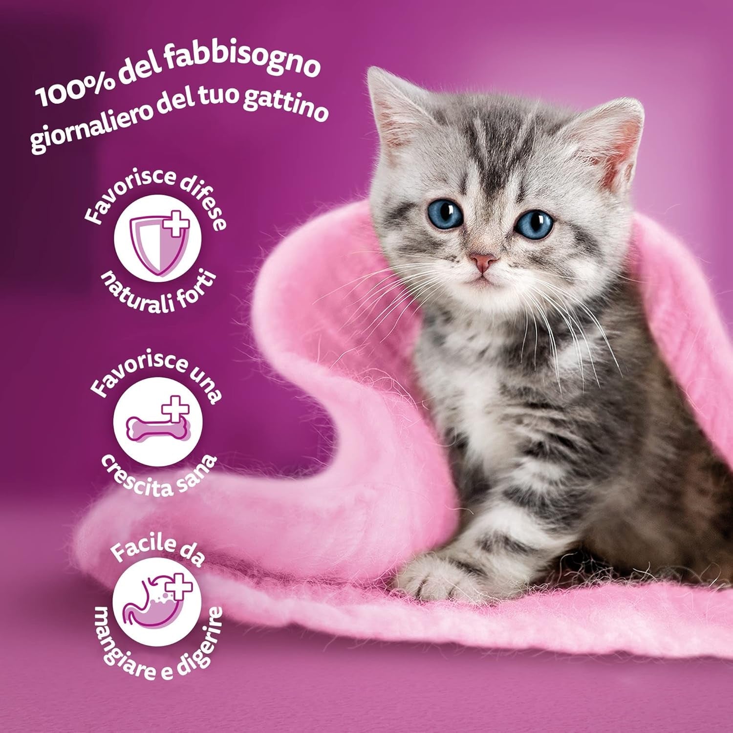 Whiskas Junior Classic mokré krmivo pro kočky, 13 x 4 x 85 g