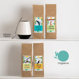 ORIGEENS BIO MATE ČAJOVÁ DÁRKOVÁ SADA X4 I Yerba Mate Bio 4X80G I Yerba Mate čajová sada, tip na dárek