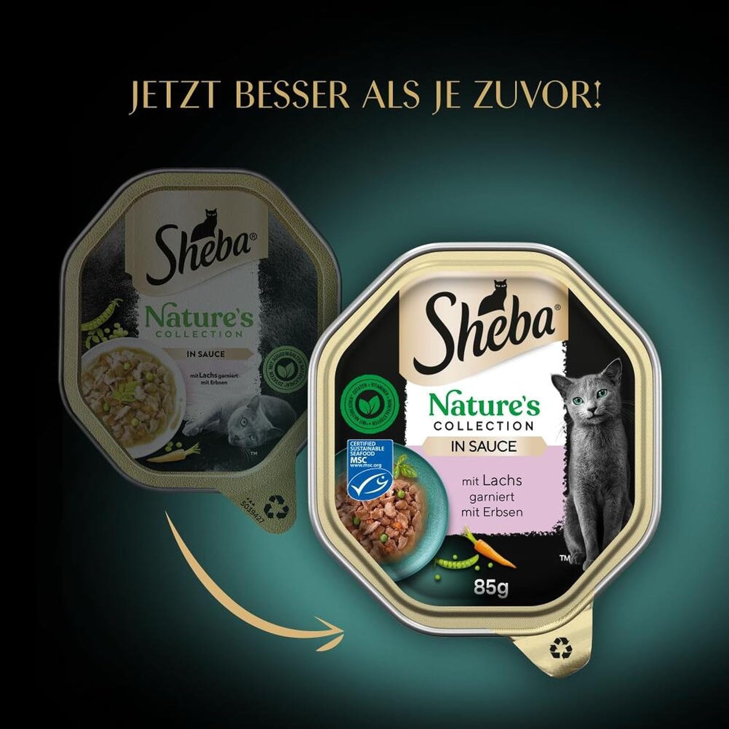 SHEBA Mokré krmivo pro kočky, Nature's Collection v lososové omáčce, 2 x 11 x 85 g
