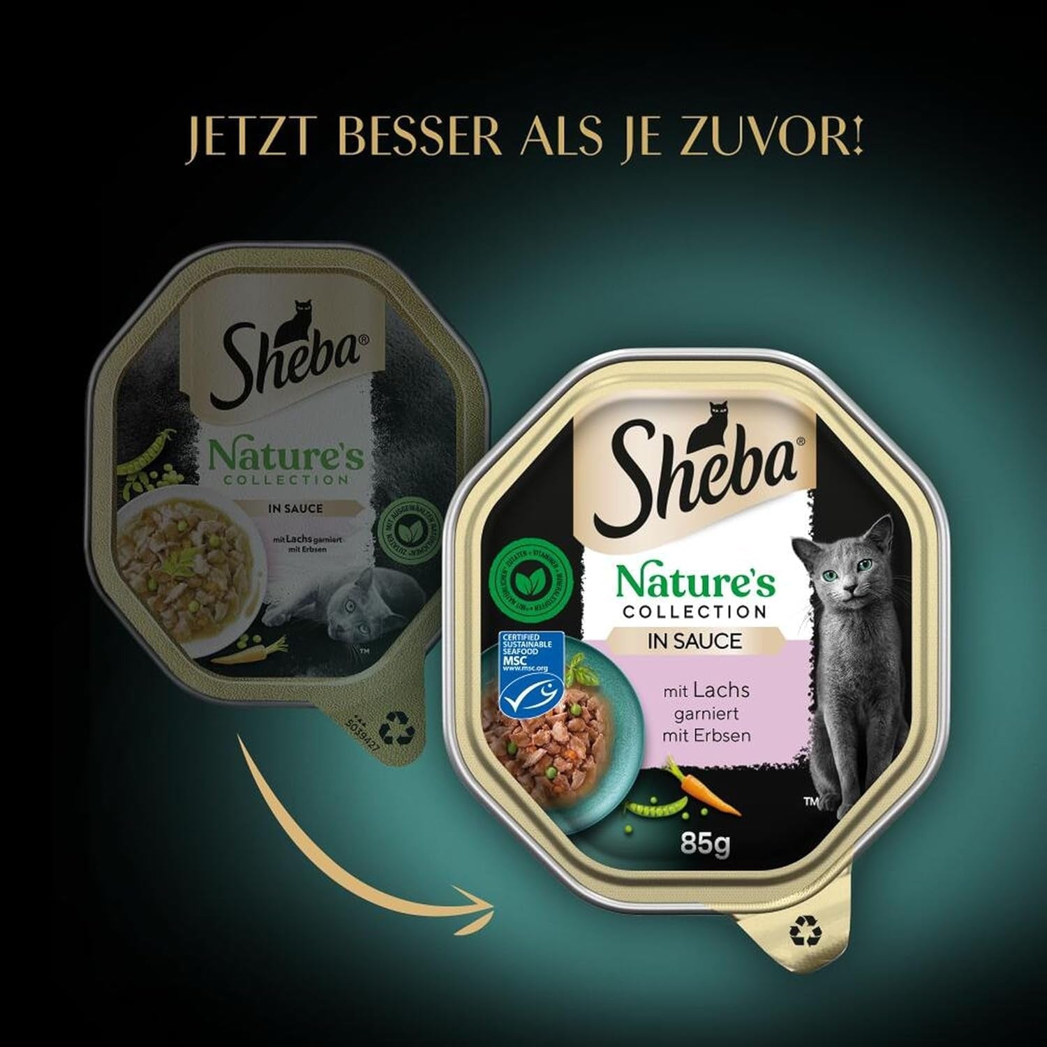 SHEBA Mokré krmivo pro kočky, Nature's Collection v lososové omáčce, 2 x 11 x 85 g