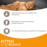 IAMS Delights Kitten Nassfutter - Multipack Katzenfutter mit Hunn in Sauce, vysoce kvalitní Futter für Junior Kätzchen von 1-12 Monate, 12 x 85 g