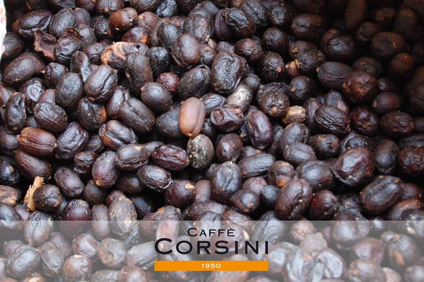 Caffè Corsini - Kaffeebohnen 3x250g Compagnia Dell'Arabica Set Guatemala/Äthiopien/El Salvador, Einzelner Ursprung, celkem 750g