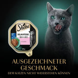 Sheba Mokré krmivo pro kočky, delikatesy v lososovém želé, 2 x 11 x 85 g