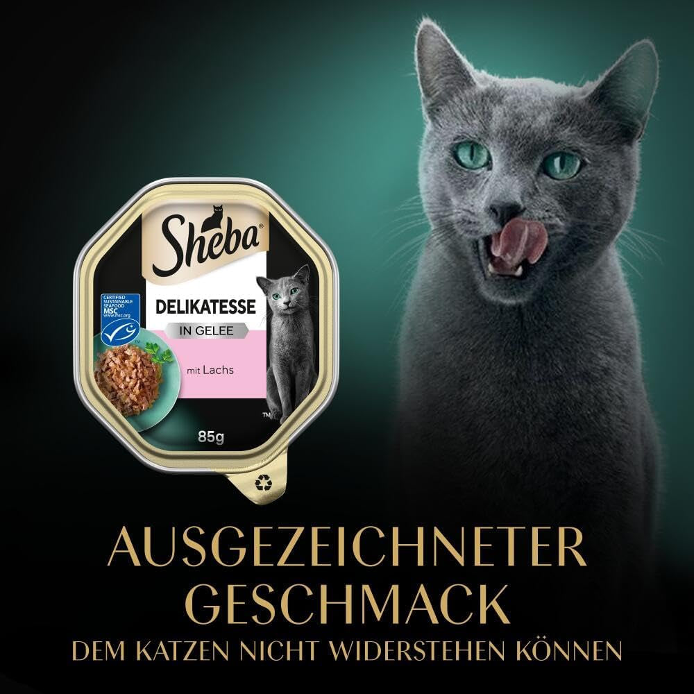 Sheba Mokré krmivo pro kočky, delikatesy v lososovém želé, 2 x 11 x 85 g