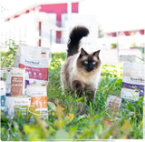 Venandi Animal - Premium Nassfutter für Katzen, Probierpakett I, Kuře, Pute, Rind, 6 x 200 g (6er Pack), getreidefrei und naturbelassen
