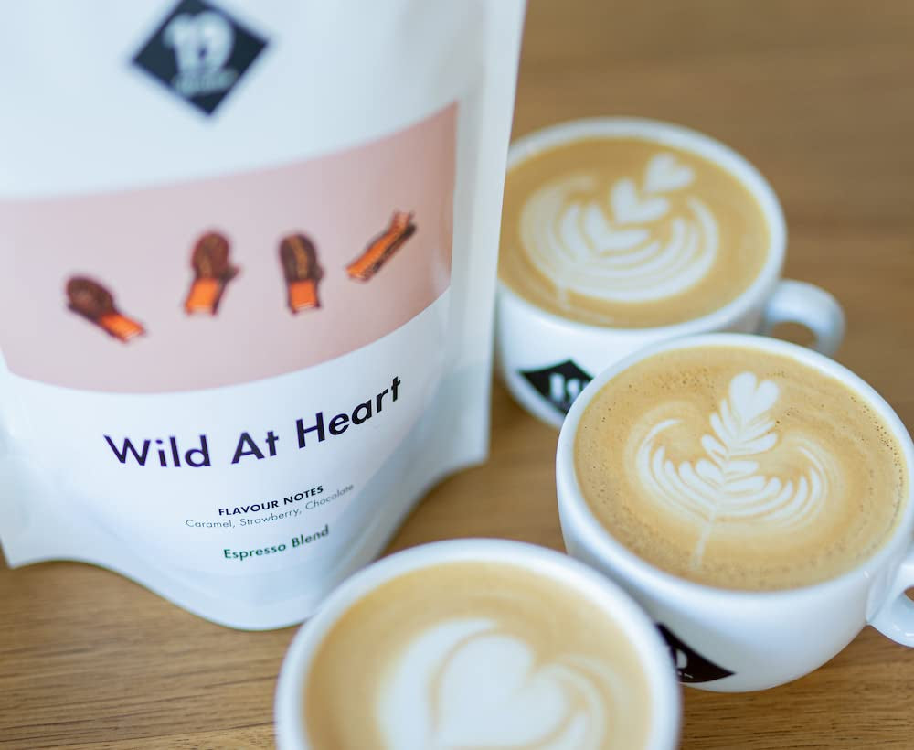 Wild At Heart Espresso | 250g Bohnenská husa poctivá a udržitelná | frisch geröstet | 100% Arabica Kaffeebohnen | speciální káva | 19 gramů Kaffeerösterei
