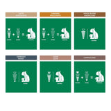 STARBUCKS Probierset, Mixed Cup Variety Pack od Nescafé Dolce Gusto Kaffeekapseln 6 x 12 (72 kapsel) – Exklusiv bei Amazon