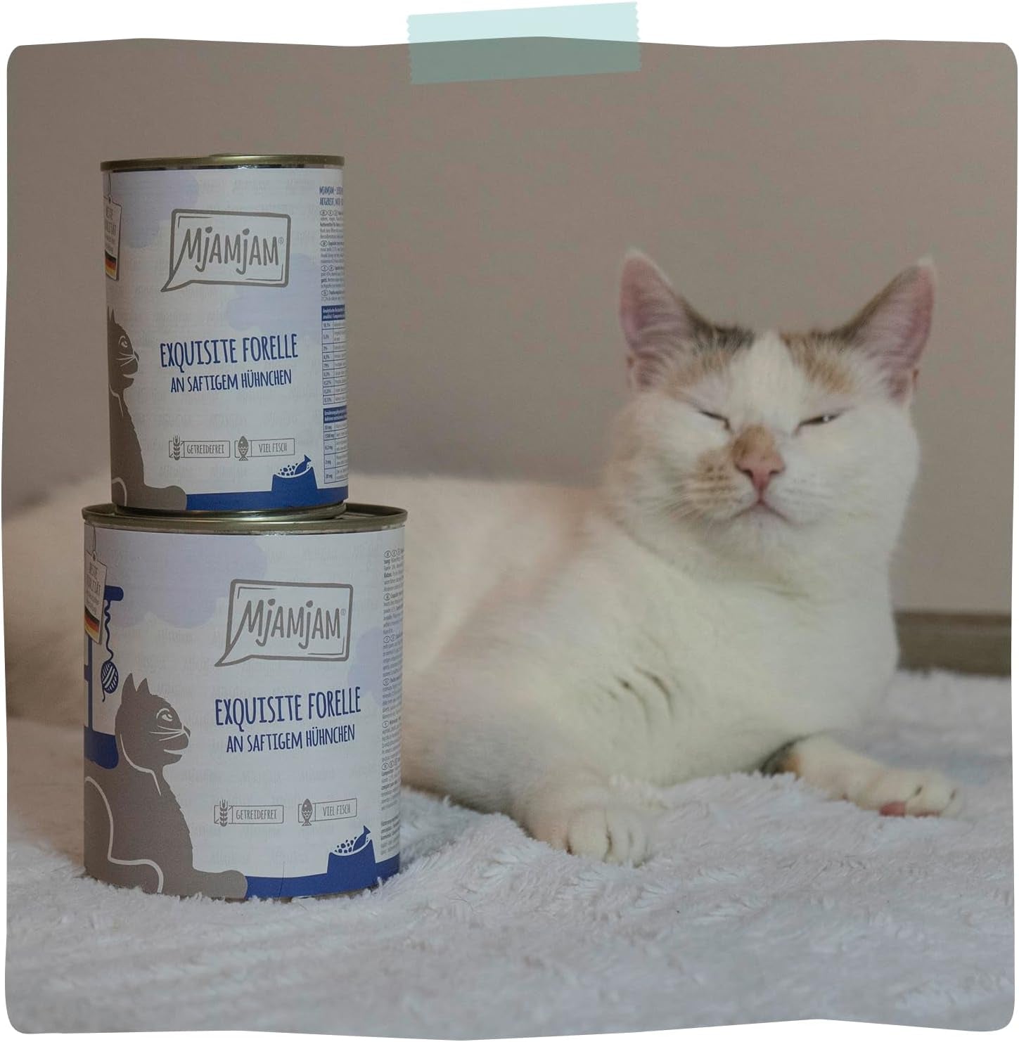 MjAMjAM - prémiové mokré krmivo pro kočky - rafinovaný pstruh se šťavnatým kuřetem, balení 6 ks (6 x 400 g), bez obilovin