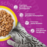 WHISKAS Mokré krmivo pro kočky v želé 120 x 85g Výběr z drůbeže