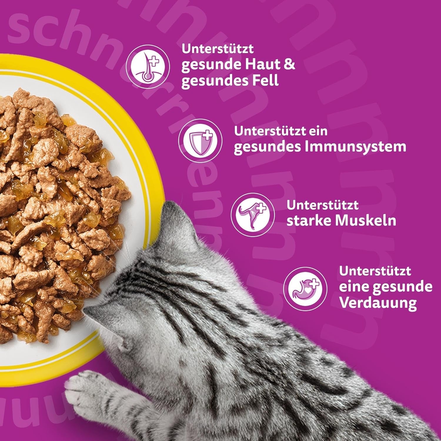 WHISKAS Mokré krmivo pro kočky v želé 120 x 85g Výběr z drůbeže