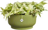 elho Vibes Fold Bowl 25 - Vnitřní květináče - 100% recyklovaný plast - Ø 24,9 x V 12,1 cm - Zelená/Ferngrün