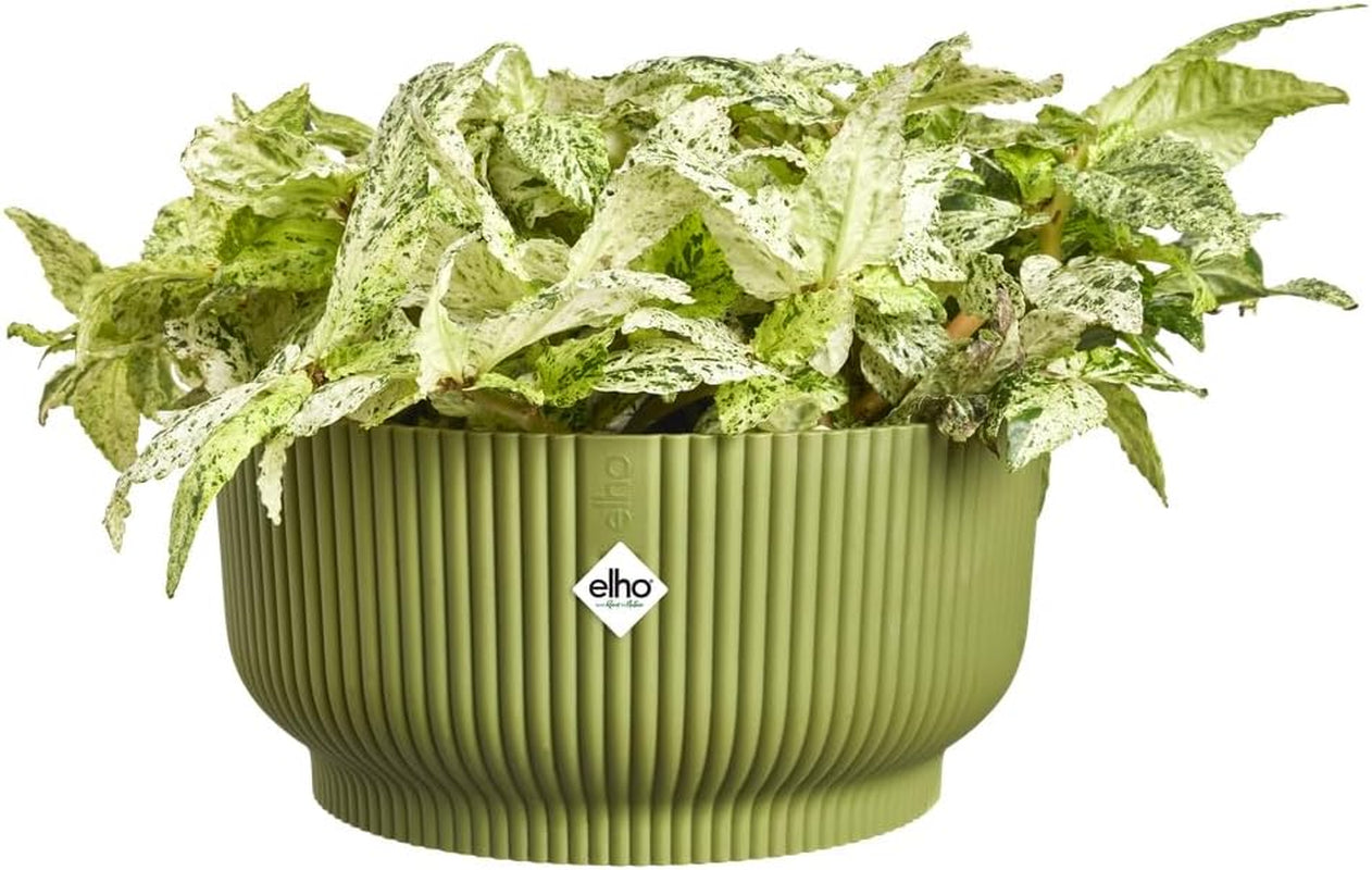 elho Vibes Fold Bowl 25 - Vnitřní květináče - 100% recyklovaný plast - Ø 24,9 x V 12,1 cm - Zelená/Ferngrün