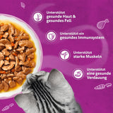 WHISKAS Mokré aromatické krmivo pro kočky v omáčce 40 x 85g Výběr z ryb