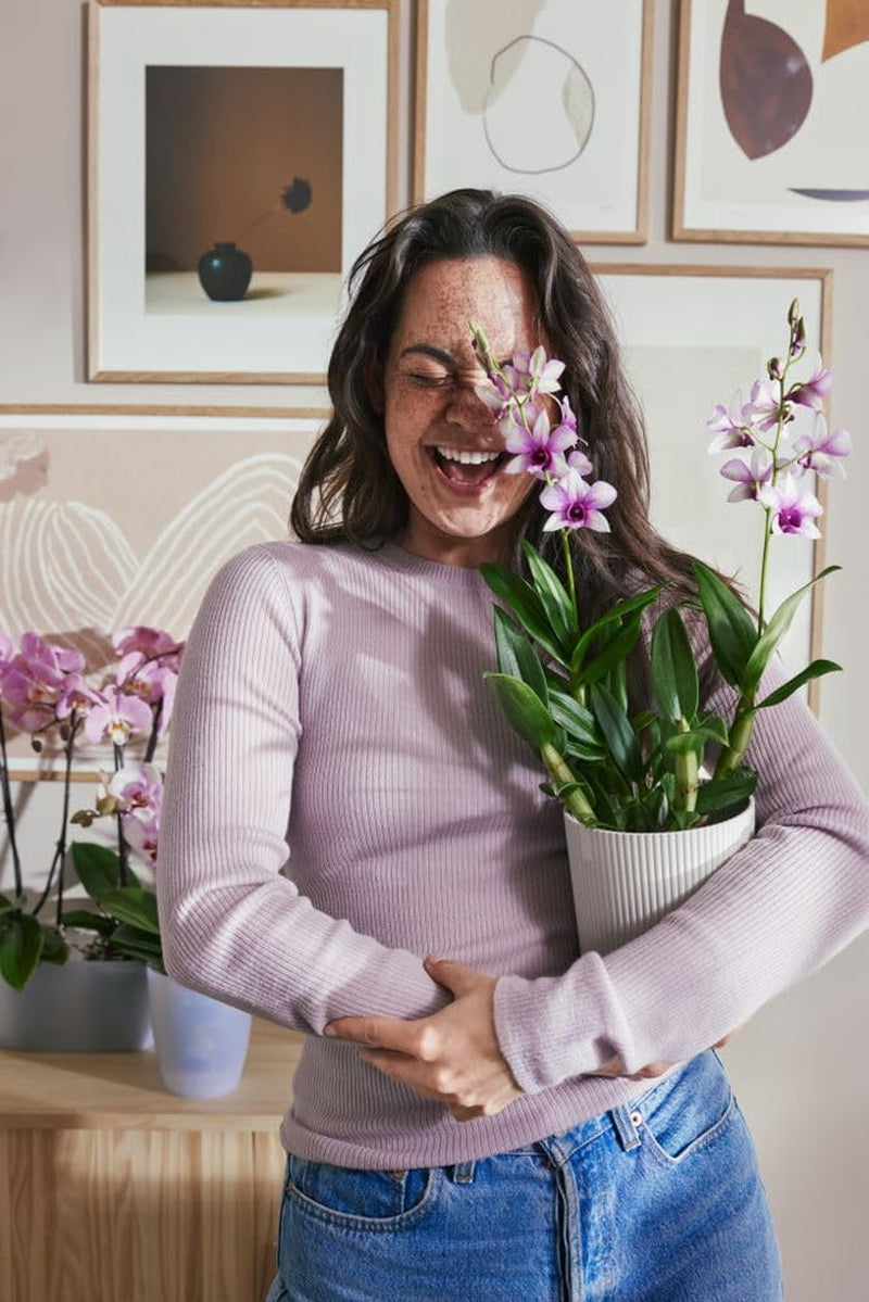 elho Vibes Fold Orchid High 12,5 cm - Vnitřní květináče na orchideje - Vnitřní květináče - 100% recyklovaný plast - Bílá/Hedvábně bílá