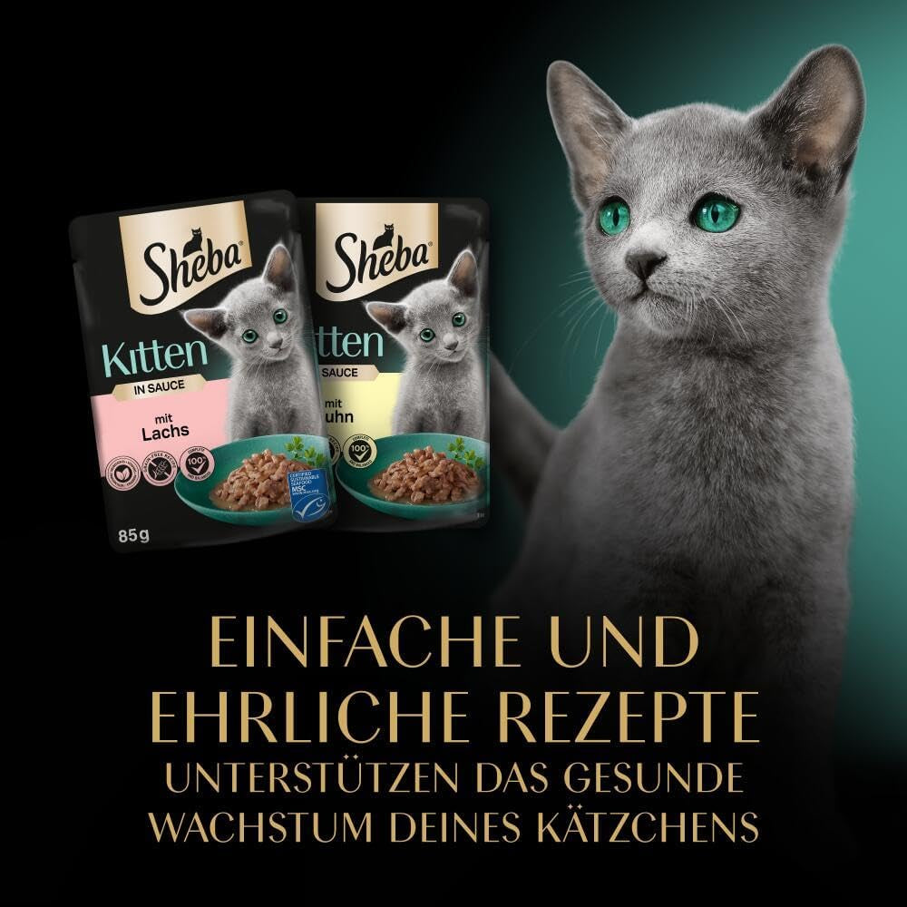 Sheba mokré krmivo pro koťata, v různých sáčcích, s lososem (MSC) a kuřecím masem v omáčce, multipack 40x85g