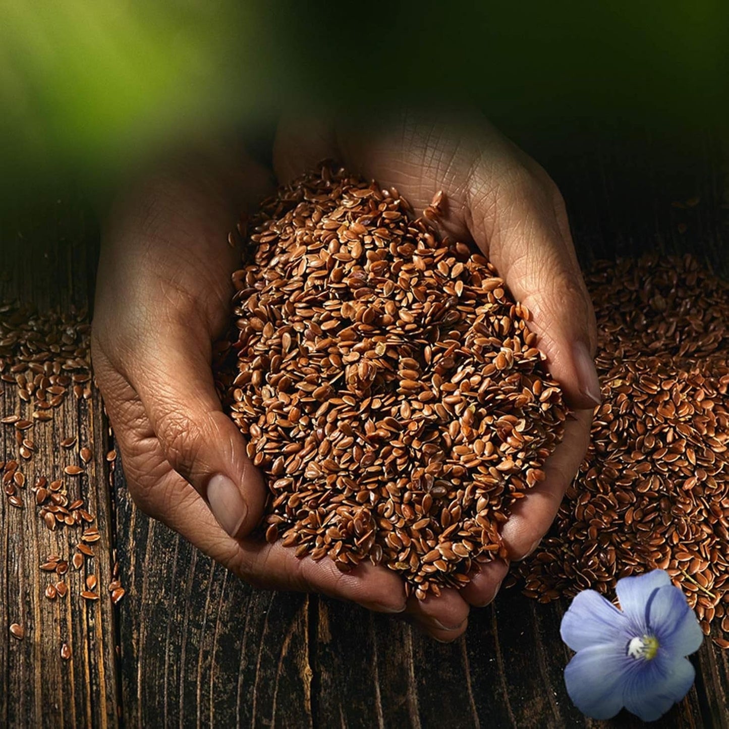 Biocentrální celá lněná semena | 7 x 400 g bio lněných semínek | Ideální do jogurtu, müsli a chleba | Alternativa psyllia, konopných semínek a chia semínek