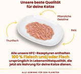 Almo Nature HFC Jelly vlhké krmivo pro kočky - s tuňákem, balení 24 ks (24 x 55 g)