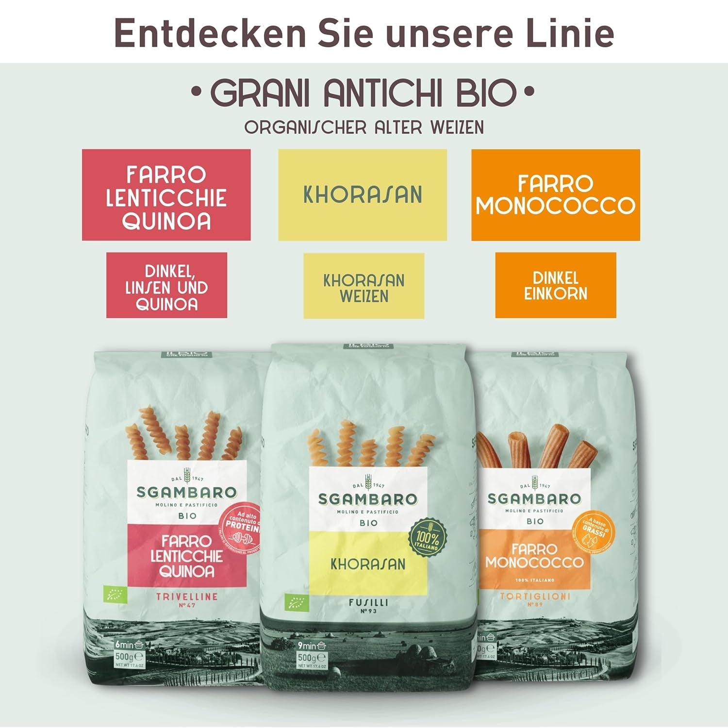 Organické těstoviny Penne Rigate N.91 - 500 g z pšenice Khorasan - starověká pšenice, bohatá na bílkoviny, 100% pěstovaná v Itálii - všestranná v kuchyni a bohatá na živiny