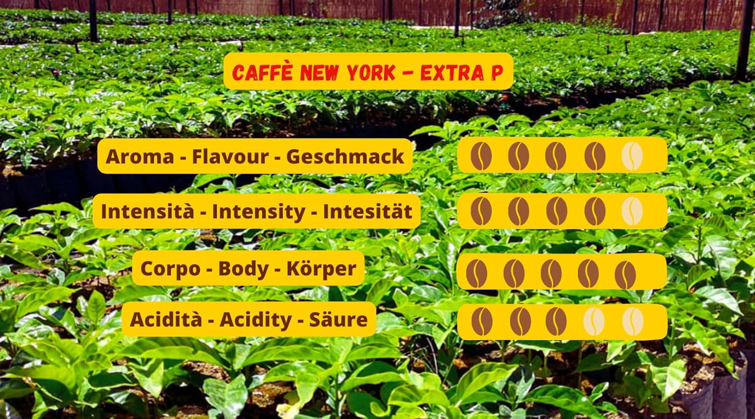 New York Coffee - EXTRA P - Kávová zrna, silná a rozhodná chuť, zrna Arabica a Robusta, k mletí, italské espresso, tyčinková směs - prémiová kvalita od roku 1930 - 1 kg, zrnka