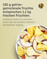 Mrazem sušená ovocná směs BUAH® | Lyofilizovaný ananas, banány, jablka a kokosy bez přidaného cukru | 100% ovoce | Veganské, bezlepkové, bezlaktózové (192g) dehydratované produkty Naty Shop
