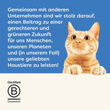 Applaws 100% přírodní Premium-Nassfutter für Katzen, Thunfischfilet mit Algen in Brühe - Packung mit 24 x 156g Dosen