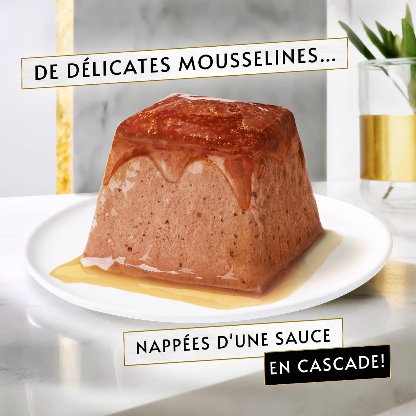 Doporučení, lososový mušelín, s omáčkou, porce krmiva pro dospělé kočky, 4 x 57 g