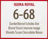 Schwarzkopf IGORA Royal Premium Barva na vlasy 6-68 tmavě blond čokoládově červená, 1 balení (1 x 60 g) Barva na vlasy Naty Shop
